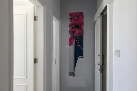 Kings Palace - Superb 2 Bed Ground Floor Apartment Paphos Esterno foto